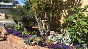 A garden with various plants and a birdbath.