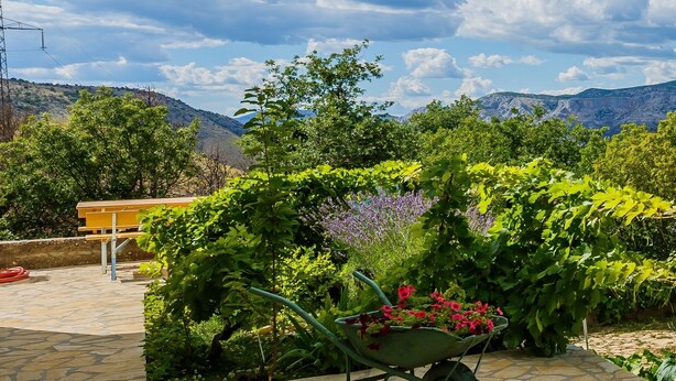 A garden with a pergola covered in vines, a wheelbarrow with flowers, and a seating area with a table and chairs. - Cherry Tree With Pool Near Split (Donje Sitno)