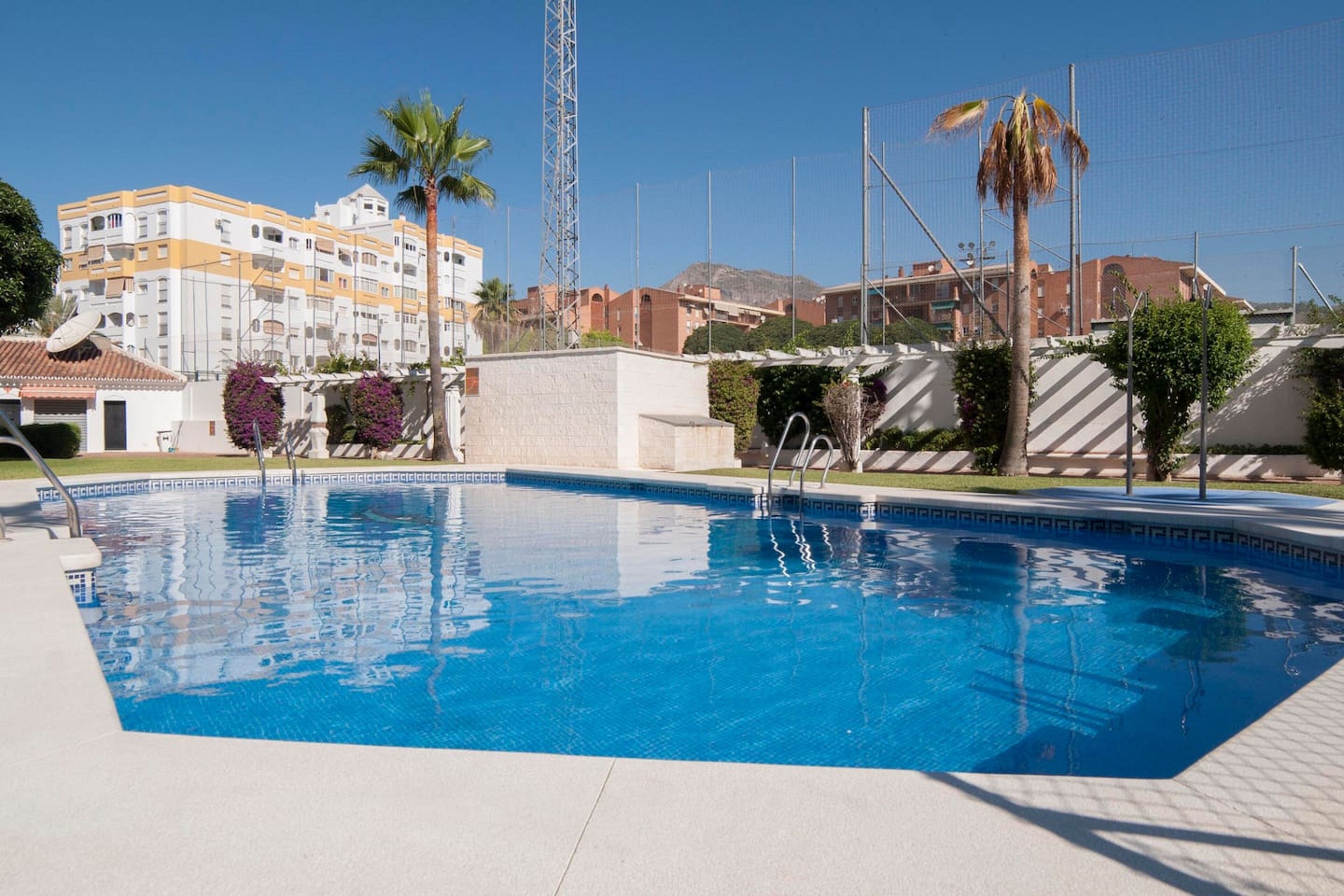 Une piscine dotée d’une terrasse carrelée, entourée de palmiers et bordée d’un bâtiment aux murs extérieurs jaune et blanc.
