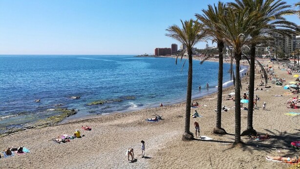Una playa con palmeras, gente tomando el sol y un cielo azul despejado.