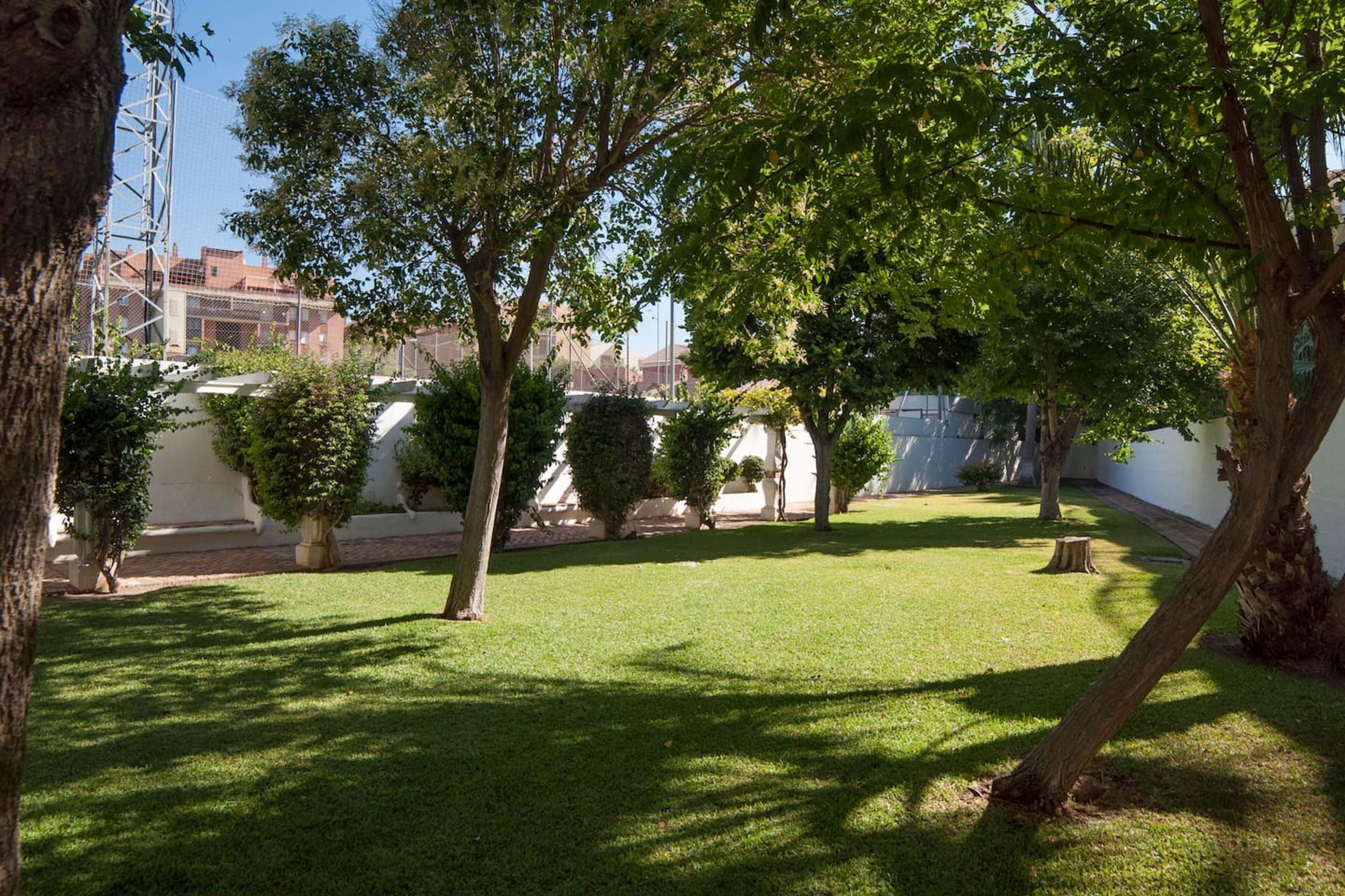Un patio con césped cuidado, varios árboles y un edificio blanco al fondo.