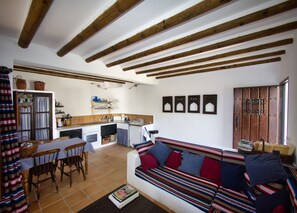 Televisión, chimenea y libros 