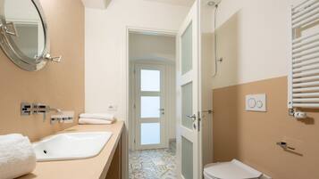 Shower, hair dryer, bidet, towels