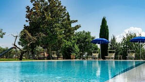 A clear swimming pool with lounge chairs and umbrellas, surrounded by trees and a tall, slender tree.