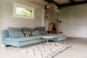 Smart TV, fireplace, books, stereo