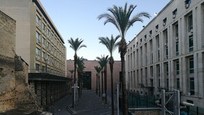 Una calle urbana estrecha flanqueada por edificios, con palmeras a lo largo de la calle y un cielo despejado.