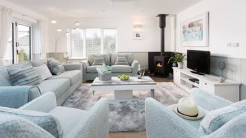 Smart TV, chimenea, reproductor de DVD y libros