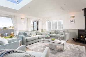 Smart TV, chimenea, reproductor de DVD y libros