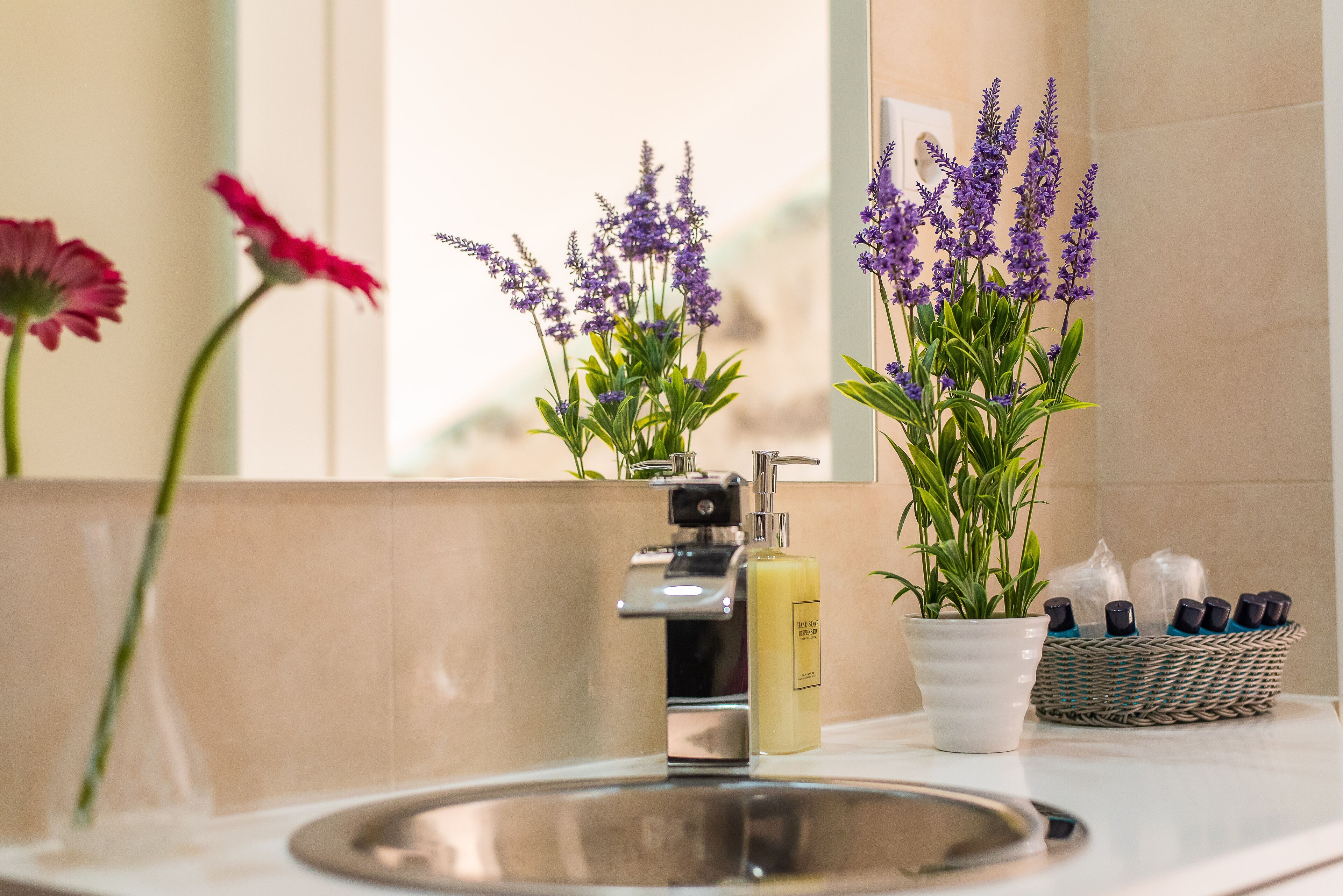 A bathroom sink with a mirror, a potted lavender plant, a red flower, and a bottle of shampoo.