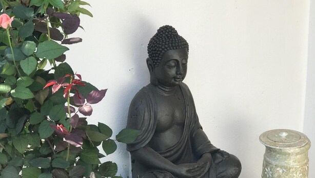 En Buddha-staty i en trädgårdsmiljö med en bänk klädd i kakel och olika växter.