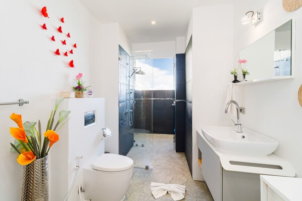 A modern bathroom with a glass shower enclosure, a white sink, and a toilet.