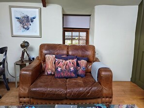 Smart TV, DVD player, books, stereo