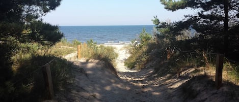 Playa en los alrededores