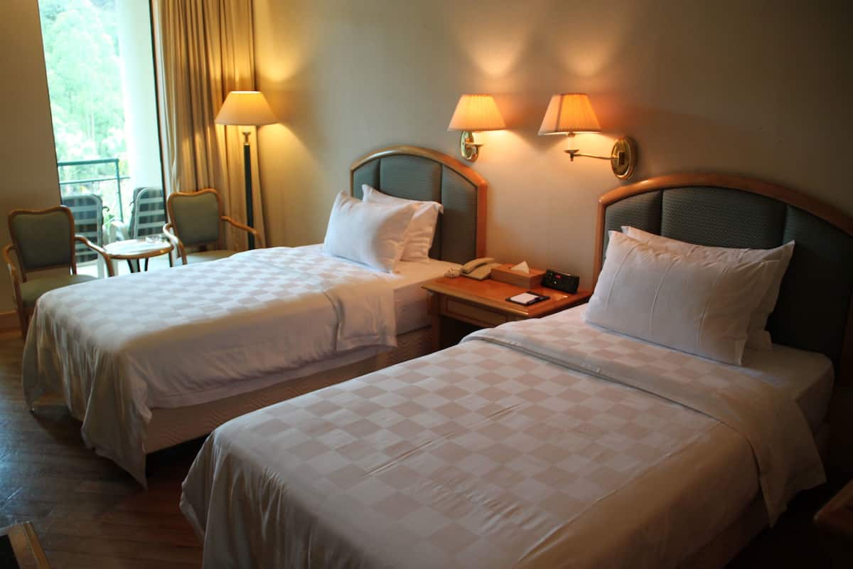 Standard Twin Room, 2 Twin Beds, Smoking | Minibar, in-room safe, desk, blackout drapes