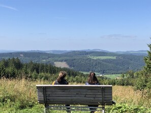 Property grounds - Half-timbered Ornes 1 (Olsberg)