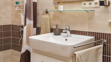 Shower, hair dryer, bidet, towels