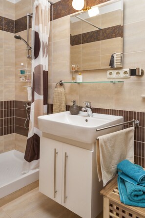 Shower, hair dryer, bidet, towels