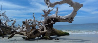 *** Réservez vos vacances de dernière minute pour seulement 55 € par nuit ***