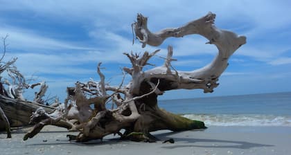 Apartment Sanibel in Fort Myers/House Villa Barra