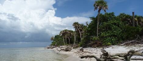 Sun-loungers, beach towels