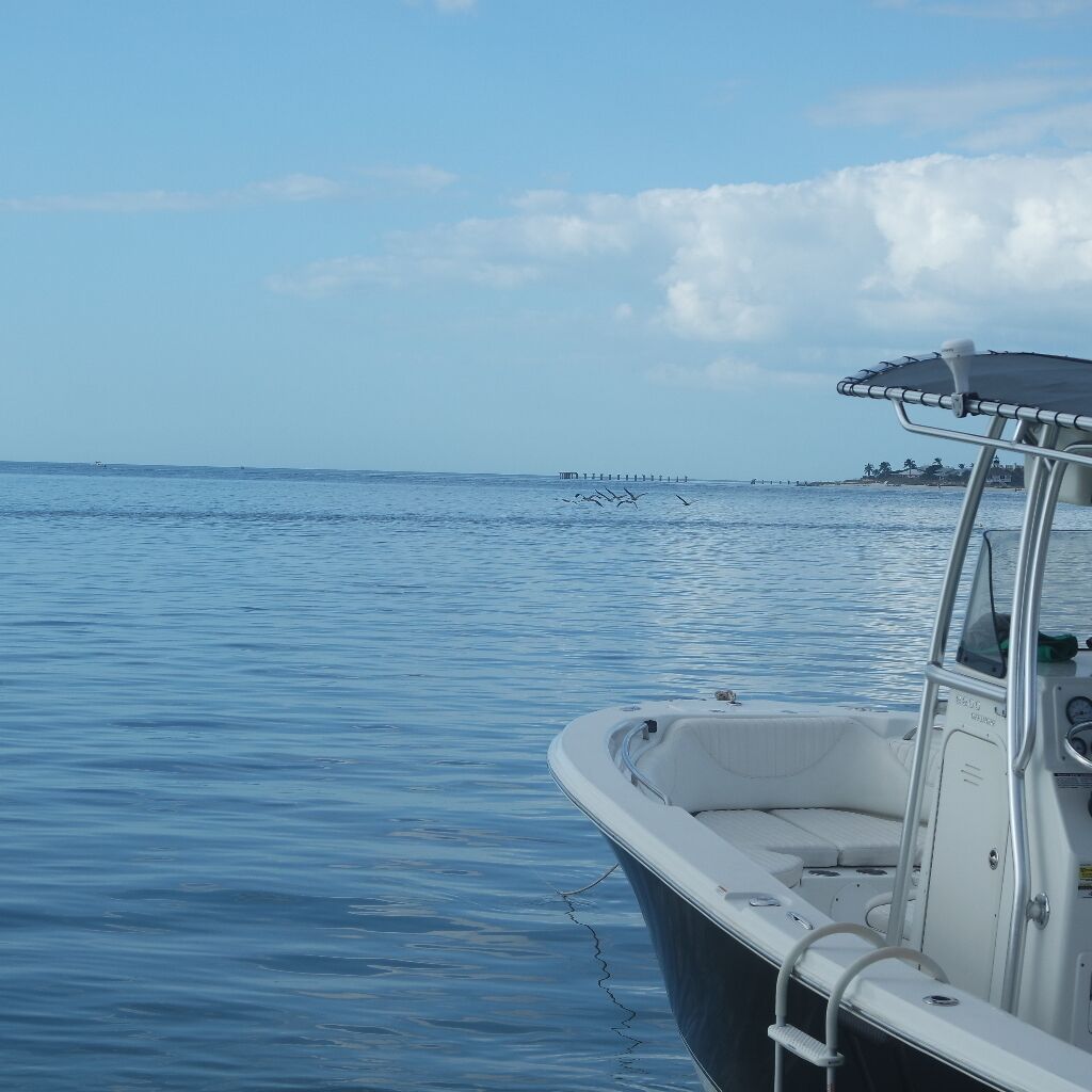 Un bateau sur une eau calme, sous un ciel dégagé.