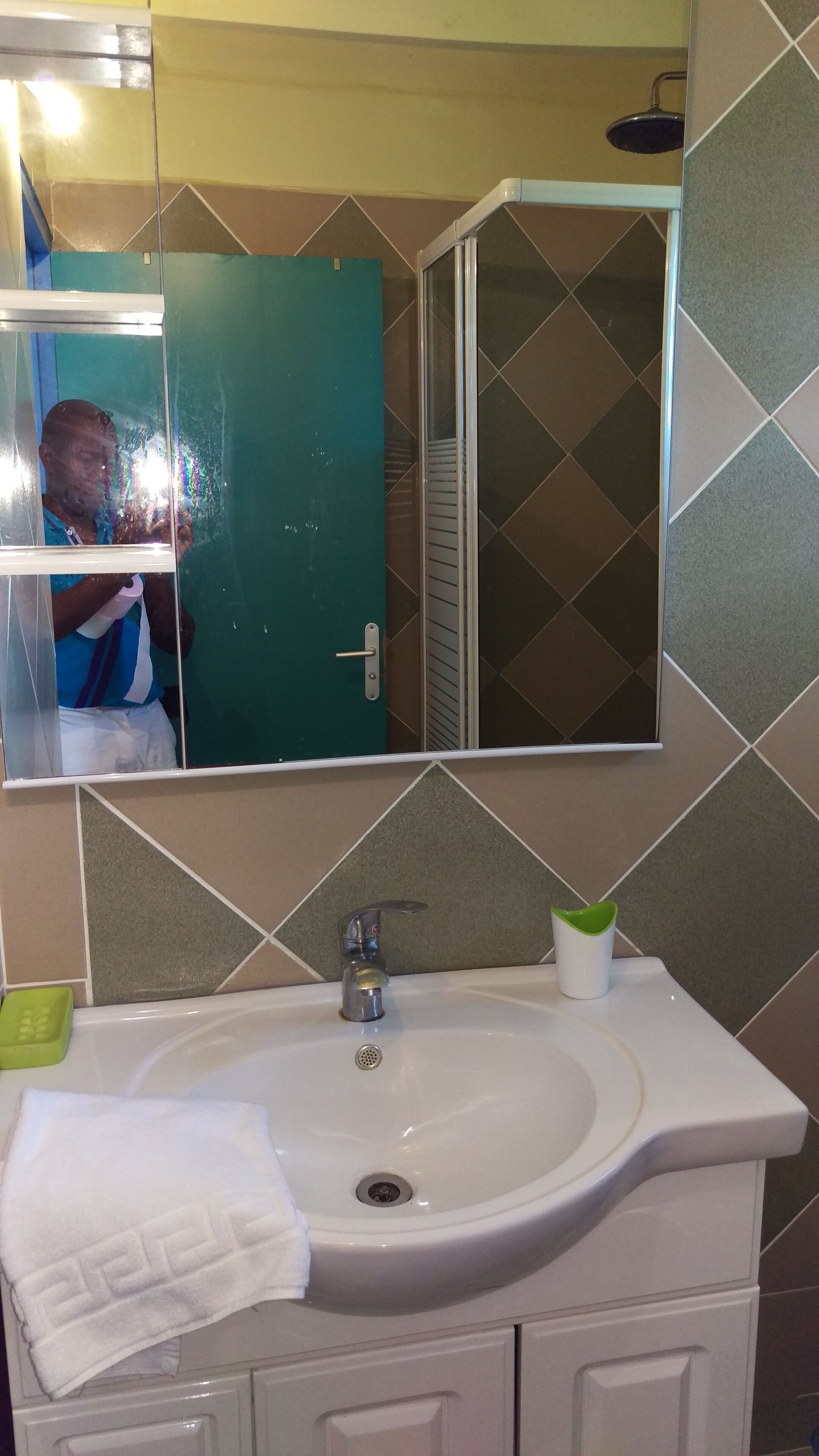 Une salle de bain avec un lavabo blanc, une porte verte et une douche.