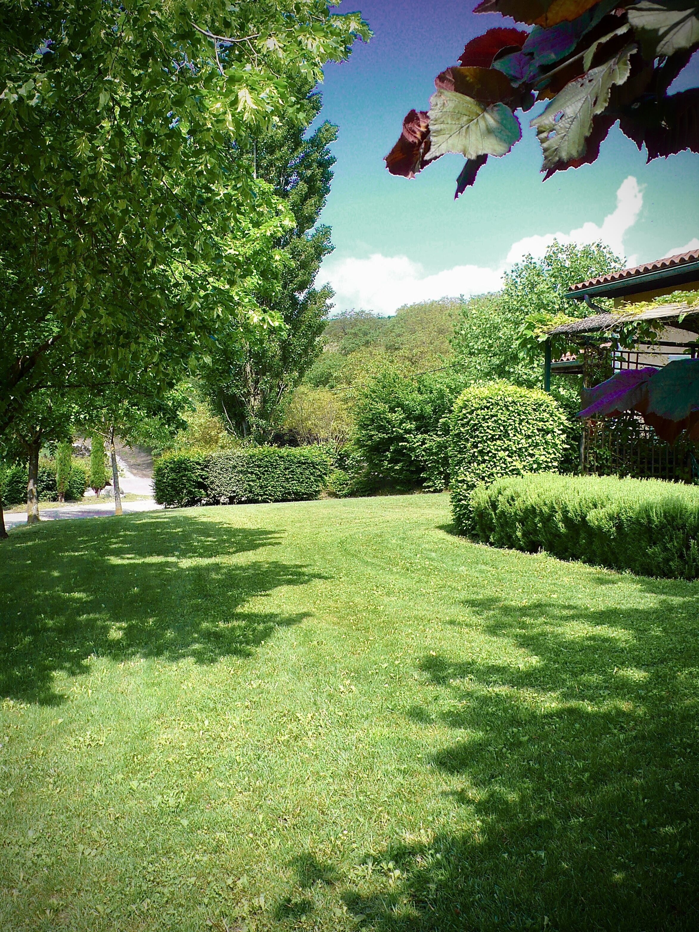 Un jardín bien cuidado con diversos árboles y arbustos, cielo despejado y un camino que se extiende hacia la distancia.