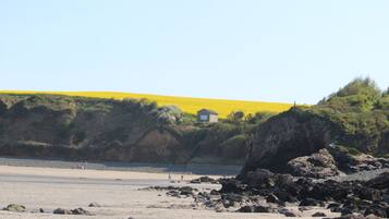 Une plage avec un rivage rocheux au premier plan, une plage de sable et, au loin, un champ jaune.