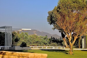 A landscaped garden with a modern structure, a bench, and a tree.