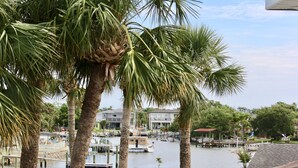 A marina with boats docked, palm trees, and a building in the background. - Luxury  Villa with heated pool, spa/hot tub, dock, near beach,  Sunsets! (St. Augustine)