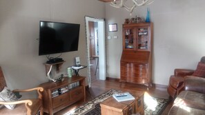 Télévision, cheminée, lecteur de DVD, livres