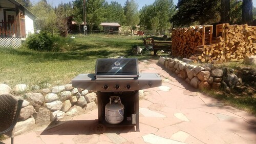  Bungalow 1880's with Stunning views of Colorado's fourteeners and pet friendly 