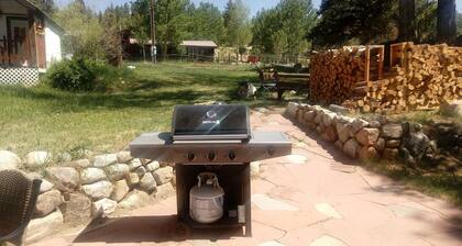 Bungalow 1880's with Stunning views of Colorado's fourteeners and pet friendly