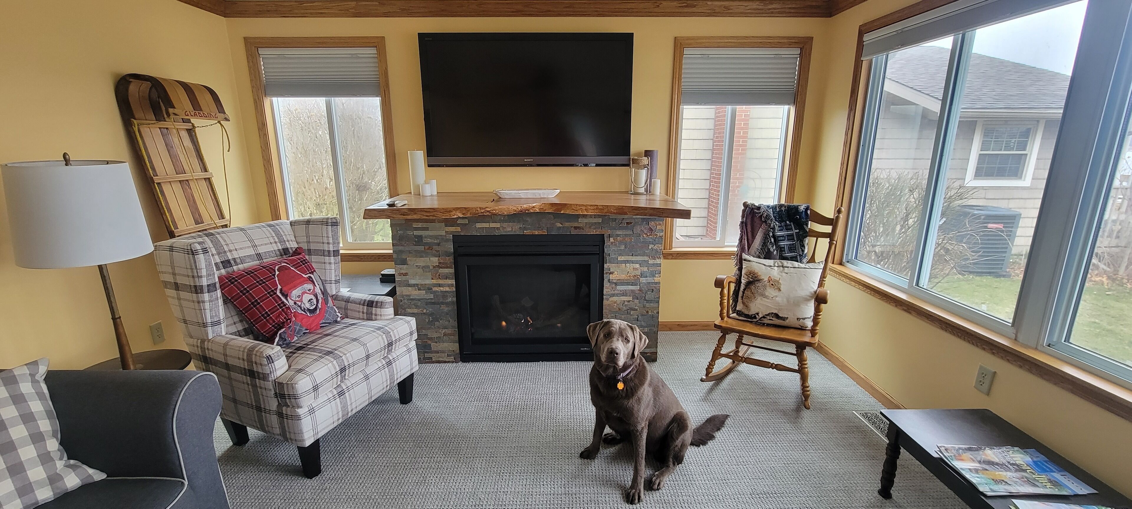 Een woonkamer met een open haard, een televisie erboven en een hond die in het midden zit.