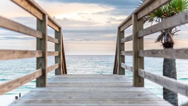Un muelle de madera que se adentra en el mar, con una palmera a la derecha.