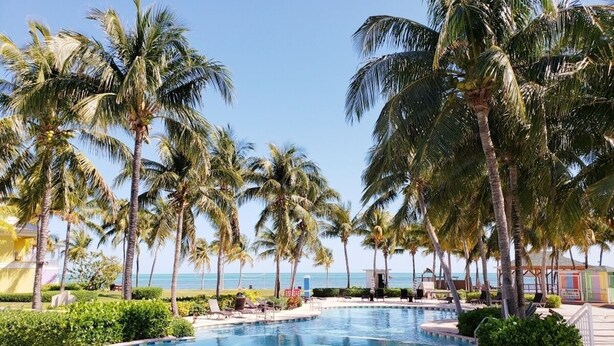 A swimming pool surrounded by palm trees, with a view of the ocean in the background. - Amazing Old Bahama Bay condo perfect for you! (West End Bahamas)