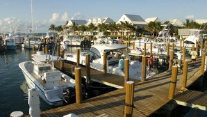 A marina with multiple boats docked at wooden piers, surrounded by palm trees and buildings. - Amazing Old Bahama Bay condo perfect for you! (West End Bahamas)