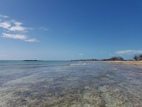 Una spiaggia con acque calme, una costa lontana e vegetazione rada.