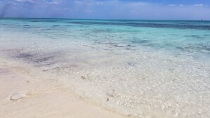 A beach with clear turquoise water and a sandy shore. - Amazing Old Bahama Bay condo perfect for you! (West End Bahamas)