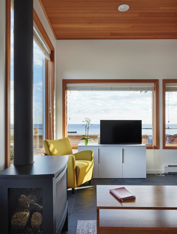 TV, fireplace, DVD player, stereo