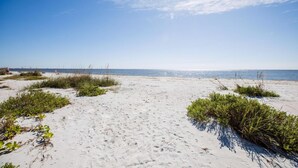 Une plage de sable avec une végétation clairsemée et un ciel bleu dégagé.