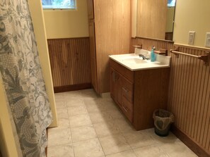Combined shower/bathtub, jetted bath, towels, toilet paper