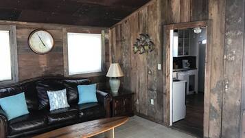 TV, DVD player, books, video library