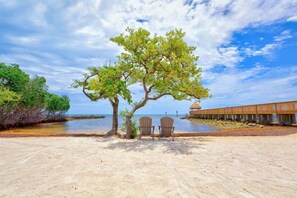 Una playa con dos sillas bajo un árbol, una estructura de madera y un muelle al fondo.