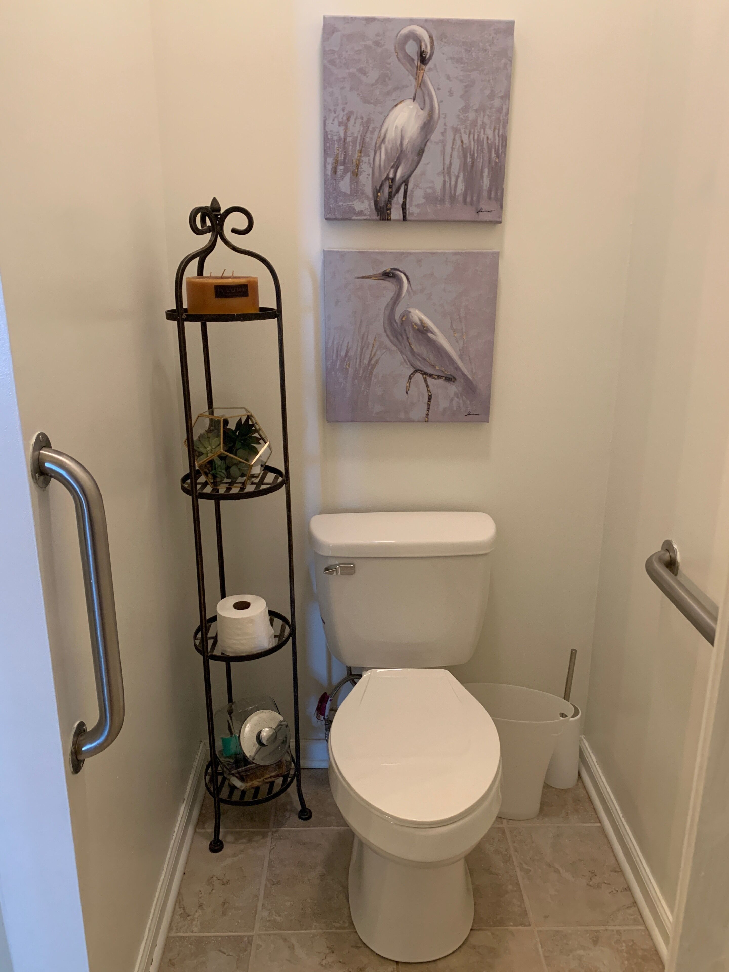 Un baño con inodoro, un estante de metal con artículos de aseo y dos cuadros de aves colgados en la pared.