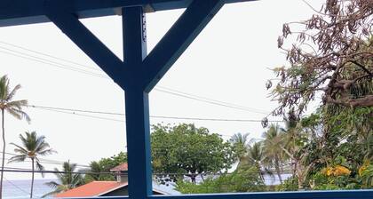 Walk 3 minutes to Kealakekua Bay to see dolphins