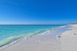 A beach with clear turquoise water, a sandy shore, and a few birds. - Amazing View - On Golf Course - Top Floor - Near Beaches, Shopping & Restaurants (Venice)