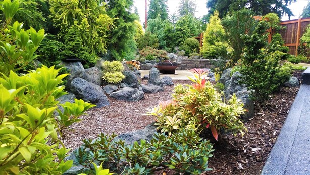 A garden with various plants, rocks, and a stone pathway. - Reconnect ~ Relax ~  Rejuvenate ~ Explore ~  Larch Avenue Getaway (Port Angeles)