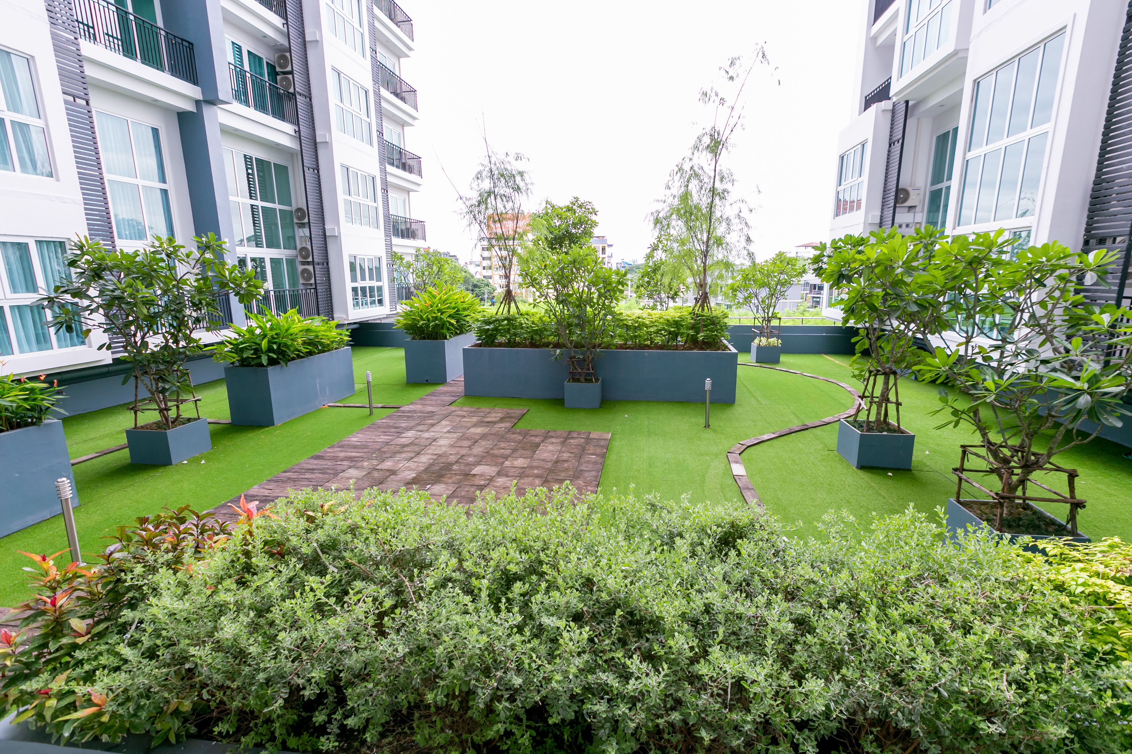 Un jardín en la azotea con diversas plantas y un área central pavimentada, rodeado de edificios modernos.