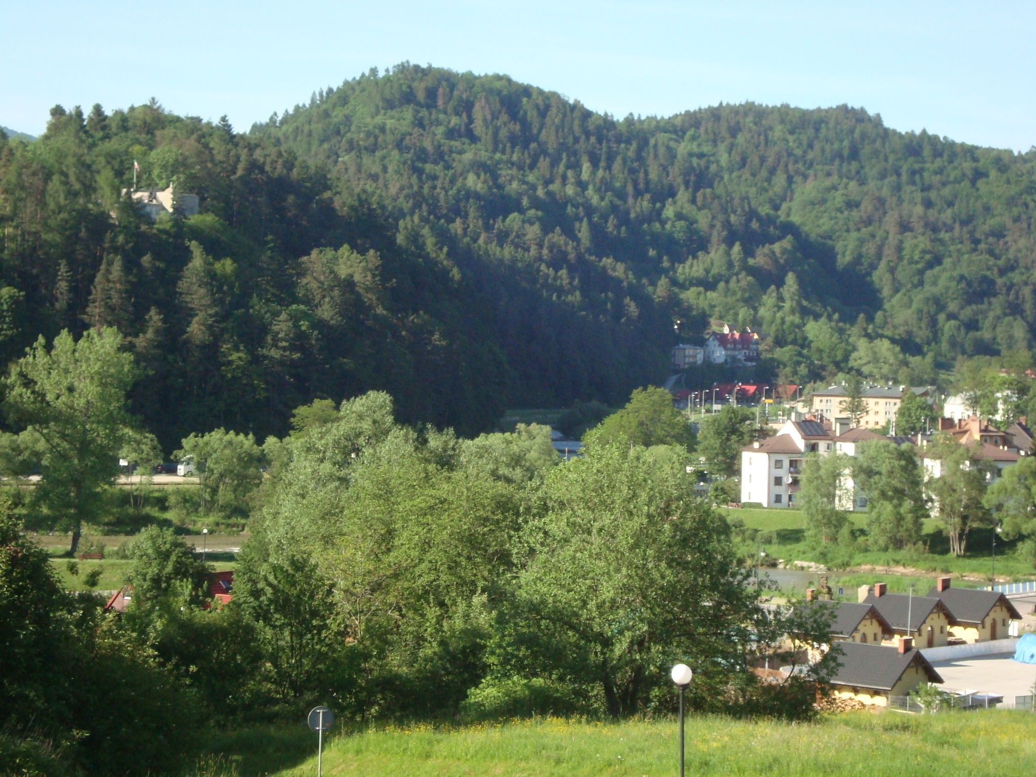 A residential area with houses, a hill with dense forest, and a clear sky.
